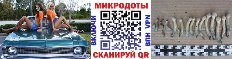 Галлюциногенные грибы MAGIC MUSHROOMS  купить наркоту  Карабулак 