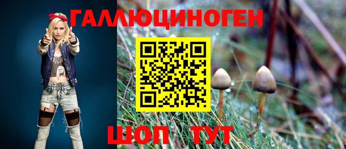 Псилоцибиновые грибы Psilocybe Карабулак