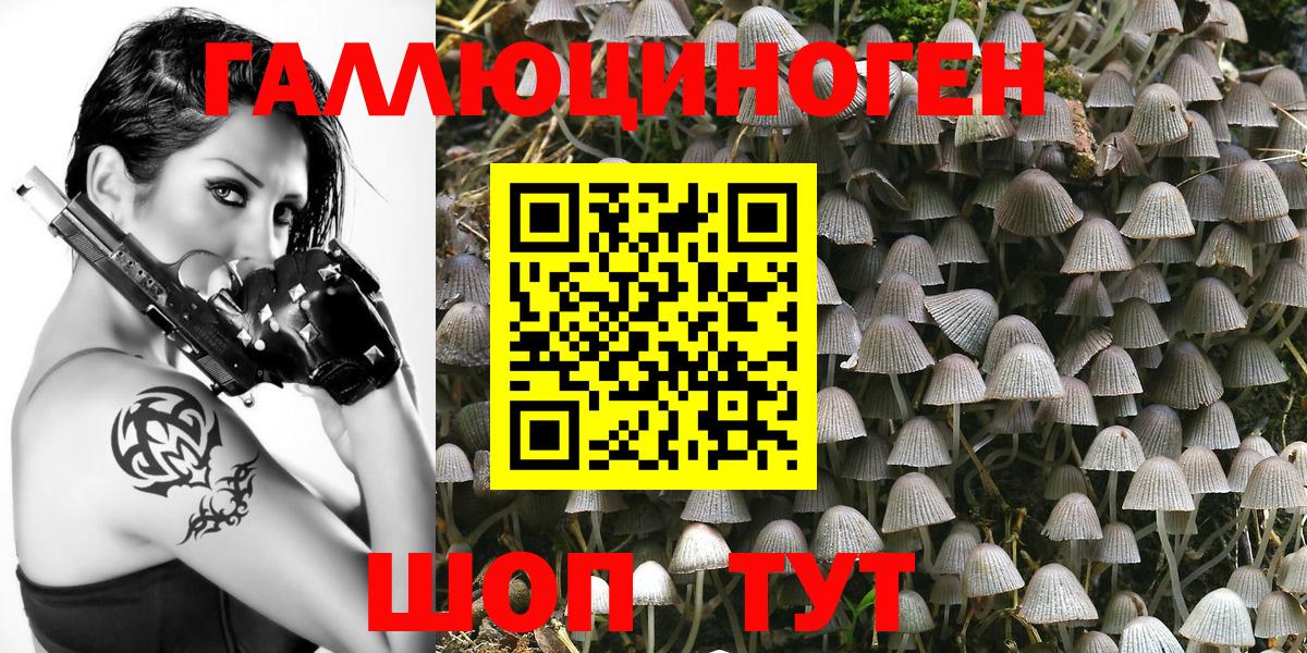 Галлюциногенные грибы мухоморы  Вход с VPN  Карабулак 